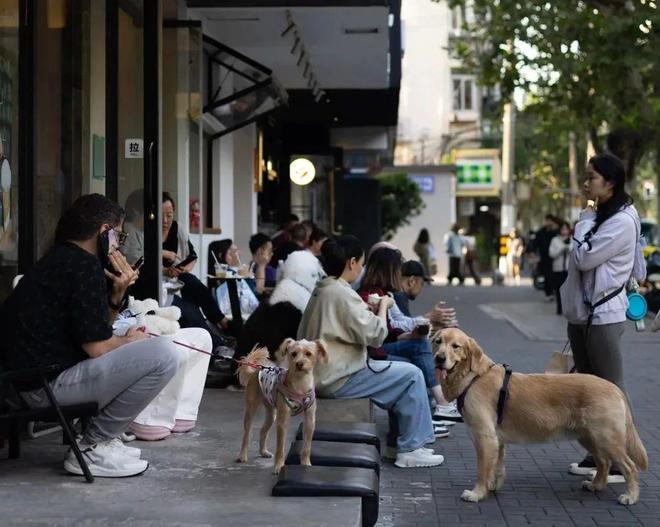人抛弃了双11爱上了“老年严选”AG真人百家家乐平台这届脆皮年轻